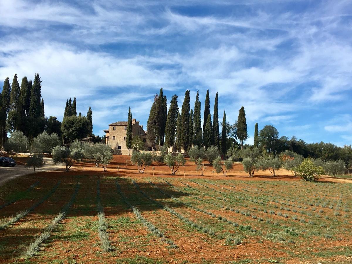 La Tenuta Di Castelvecchio San Gimignano Exterior foto