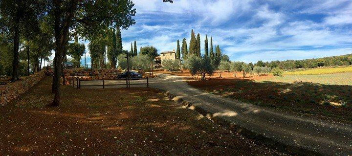 La Tenuta Di Castelvecchio San Gimignano Exterior foto